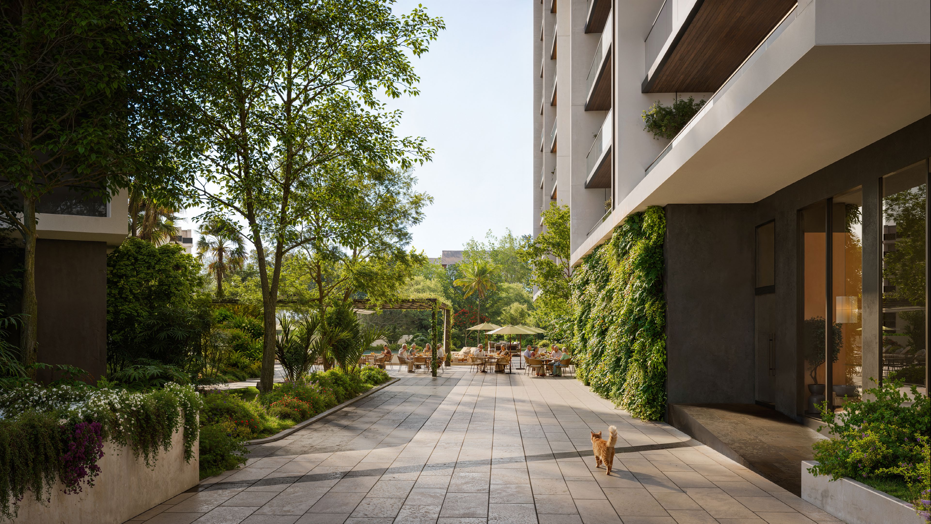 The Wellness Trail