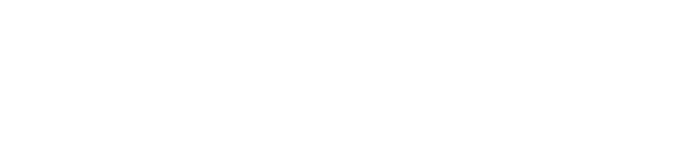 The Aerth